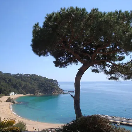 Torre * Lloret de Mar